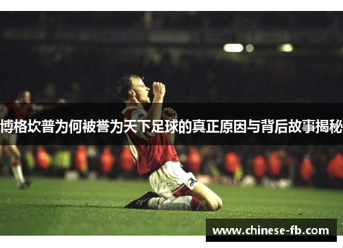 博格坎普为何被誉为天下足球的真正原因与背后故事揭秘