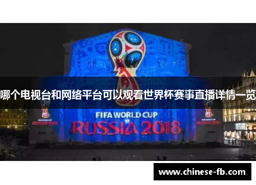 哪个电视台和网络平台可以观看世界杯赛事直播详情一览