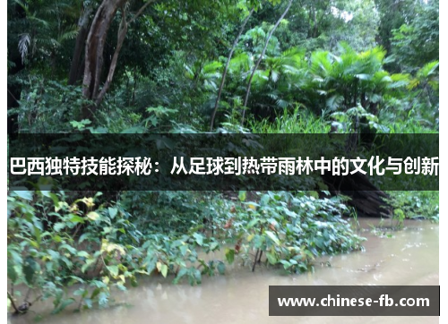 巴西独特技能探秘：从足球到热带雨林中的文化与创新