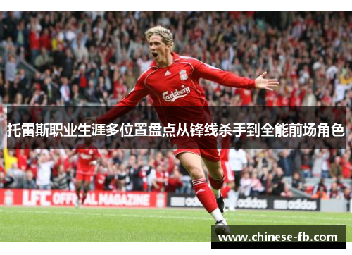 托雷斯职业生涯多位置盘点从锋线杀手到全能前场角色 托雷斯职业生涯多位置盘点从锋线杀手到全能前场角色