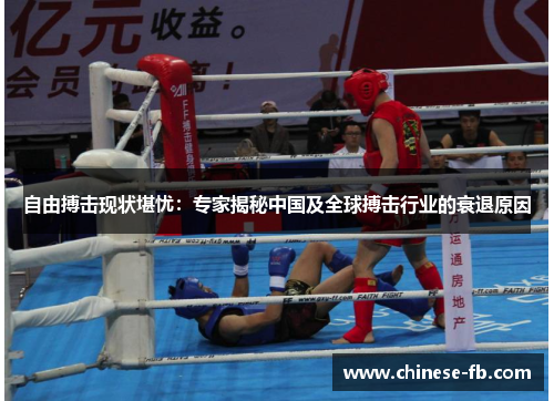 自由搏击现状堪忧：专家揭秘中国及全球搏击行业的衰退原因