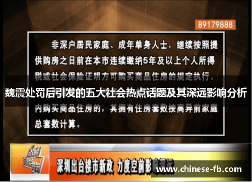 魏震处罚后引发的五大社会热点话题及其深远影响分析