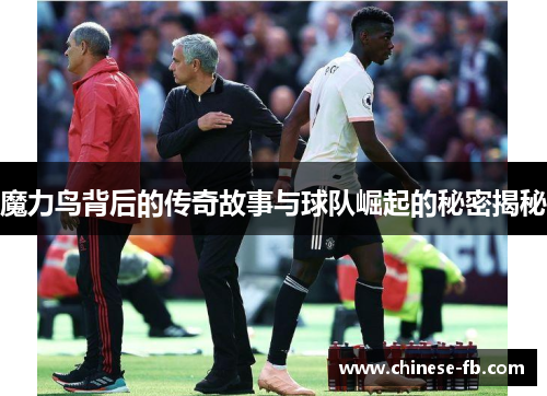魔力鸟背后的传奇故事与球队崛起的秘密揭秘