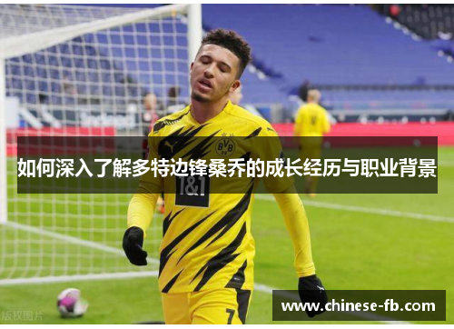 如何深入了解多特边锋桑乔的成长经历与职业背景